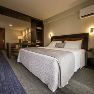 SUITE EJECUTIVA